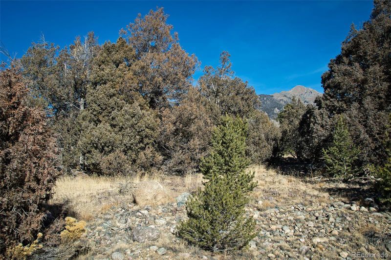 1506 - 1510 Timberline Overlook, Crestone, CO 81131