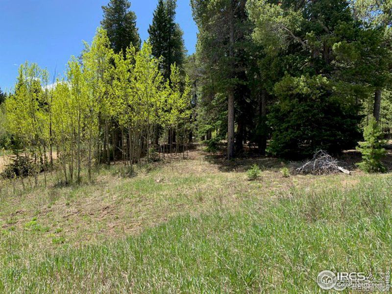 0 Lump Gulch Rd, Black Hawk, CO 80422