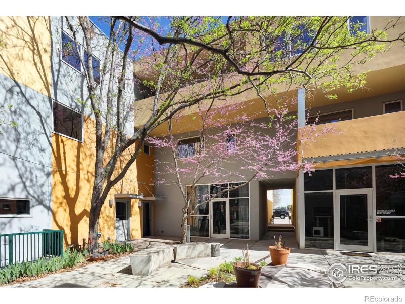 730 Tenacity, Longmont, CO 80504