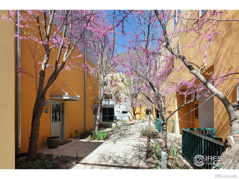 730 Tenacity, Longmont, CO 80504