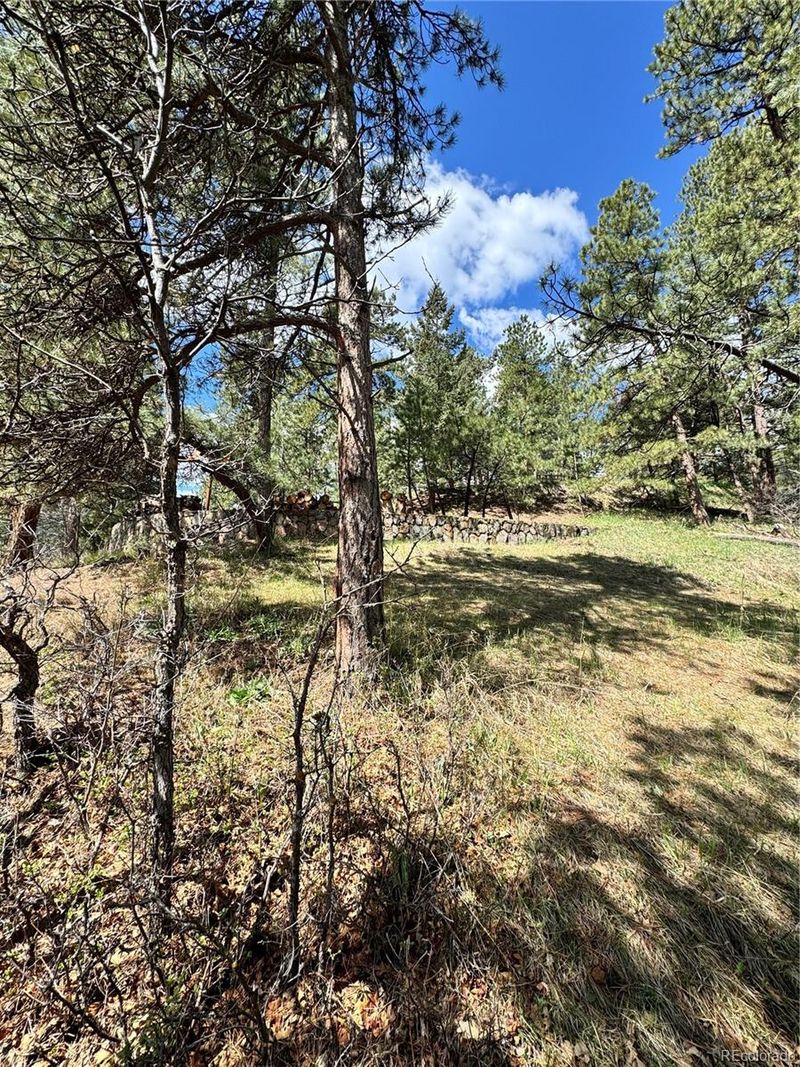 /a, Indian Hills, CO 80454