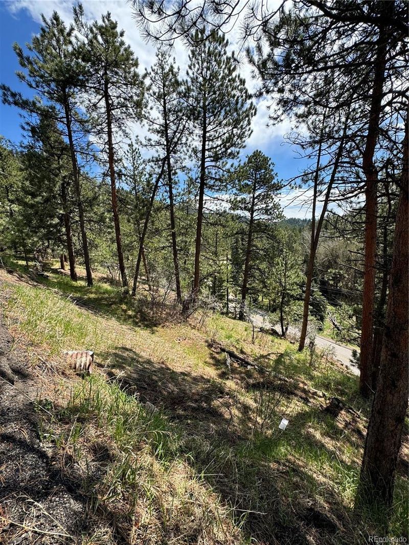 /a, Indian Hills, CO 80454