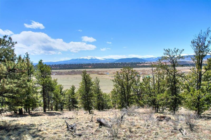 881 Bonell Dr Lot 414, Fairplay, CO 80440