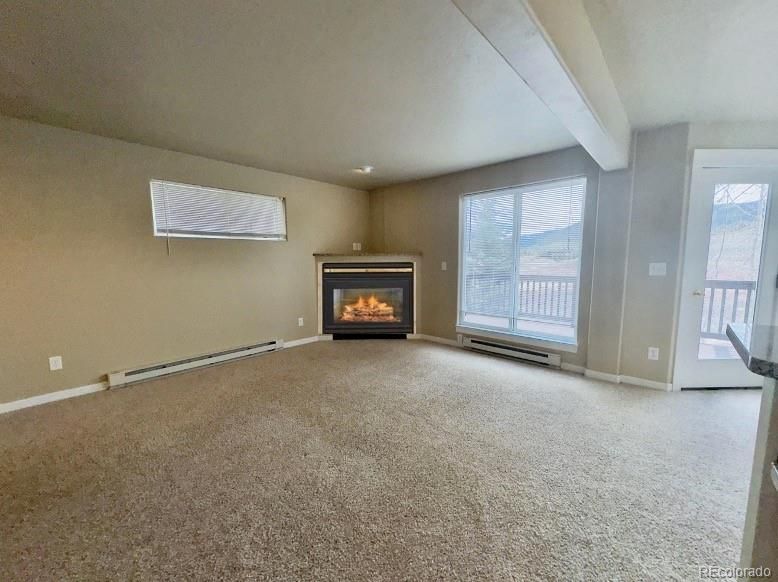 1095 Royal Coachman Blvd, Dillon, CO 80435