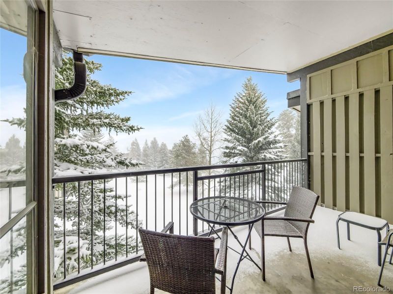 140 E La Bonte St #302, Dillon, CO 80435