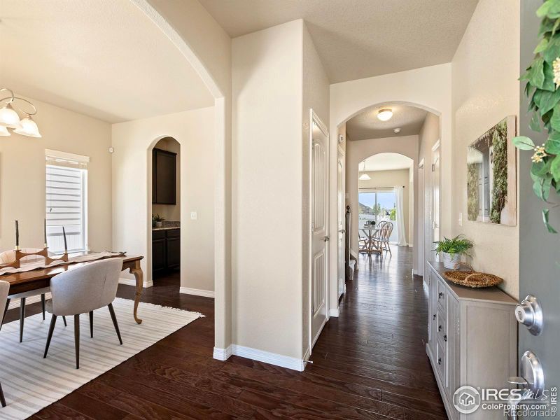862 Shirttail Peak Dr, Windsor, CO 80550