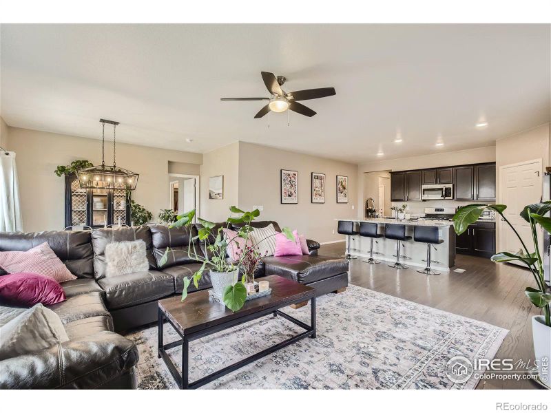 915 Charlton Dr, Windsor, CO 80550