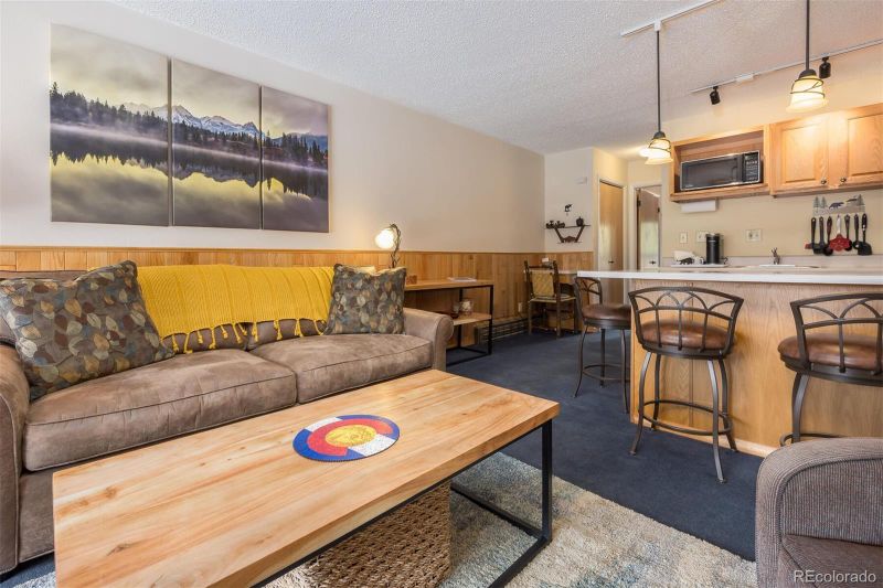 1513 E Keystone Rd #2963, Dillon, CO 80435