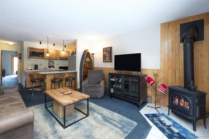 1513 E Keystone Rd #2963, Dillon, CO 80435