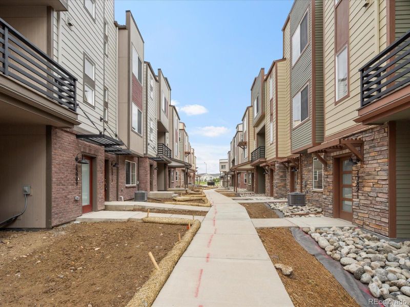13913 Del Corso Way, Broomfield, CO 80020