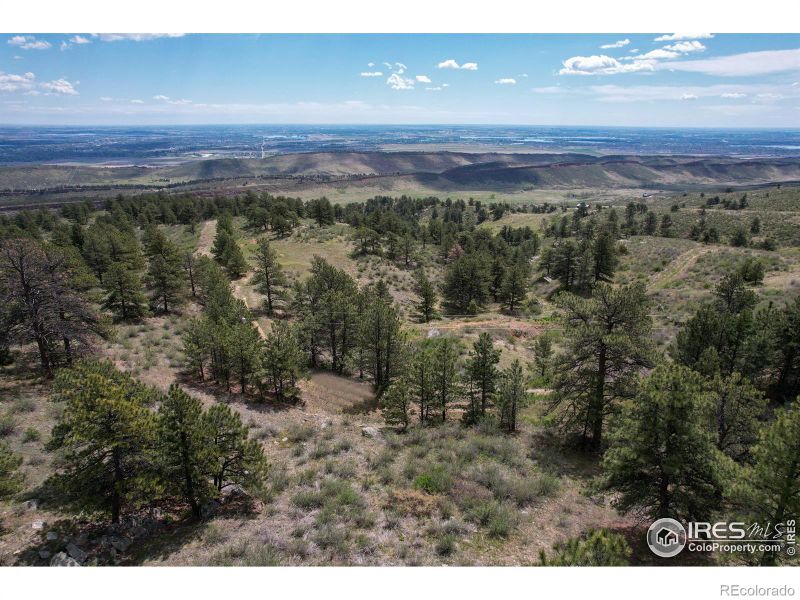 0 Gold Mine Rd, Loveland, CO 80538