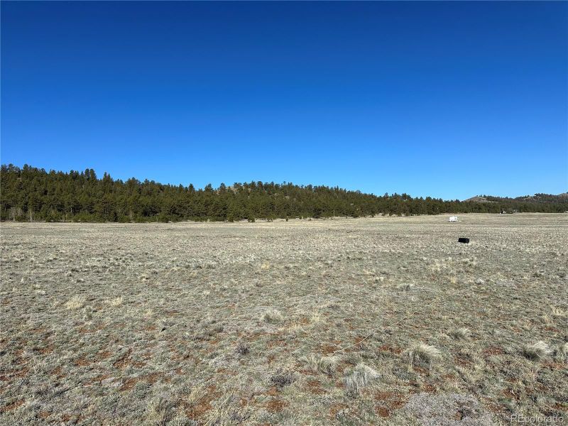 900 S Margaret Pl, Hartsel, CO 80449