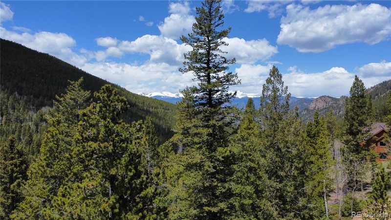Blue Bell Ln, Idaho Springs, CO 80452