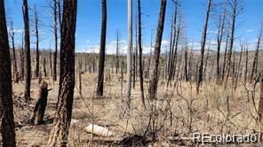 Lot 651 Emery Loop, Fort Garland, CO 81133