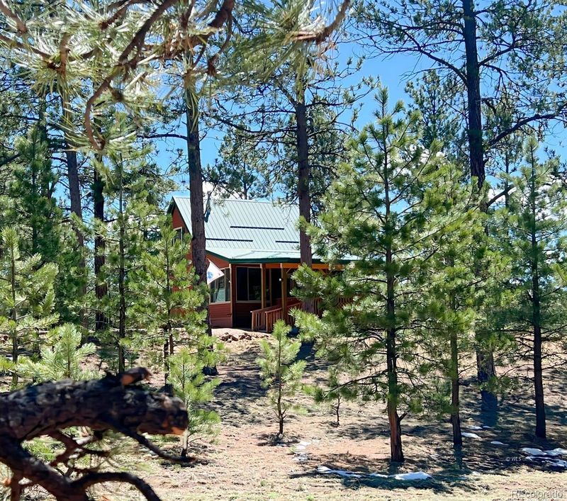 458 Good Hope Dr, Westcliffe, CO 81252