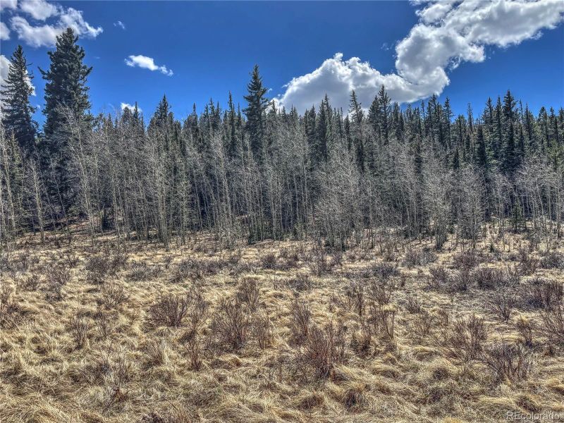 717 W Longbow Dr, Como, CO 80432