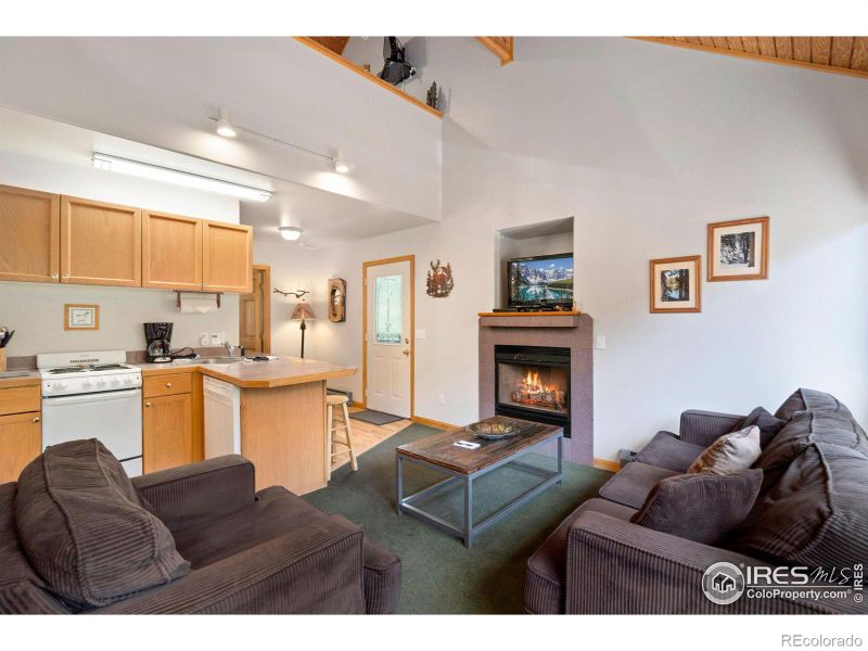 1400 David Dr #2, Estes Park, CO 80517