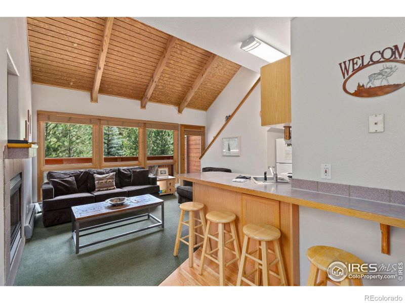 1400 David Dr #2, Estes Park, CO 80517