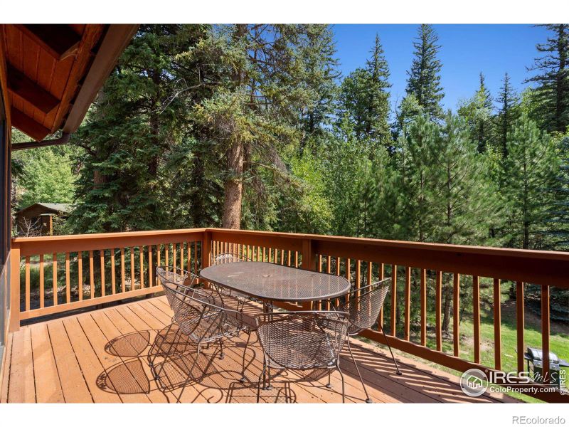 1400 David Dr #2, Estes Park, CO 80517