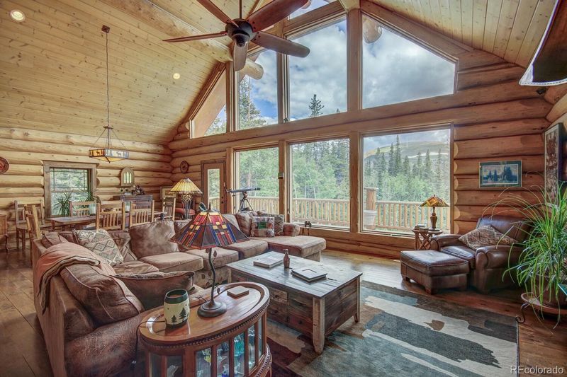 1198 Kootchie Kootchie Rd, Alma, CO 80420