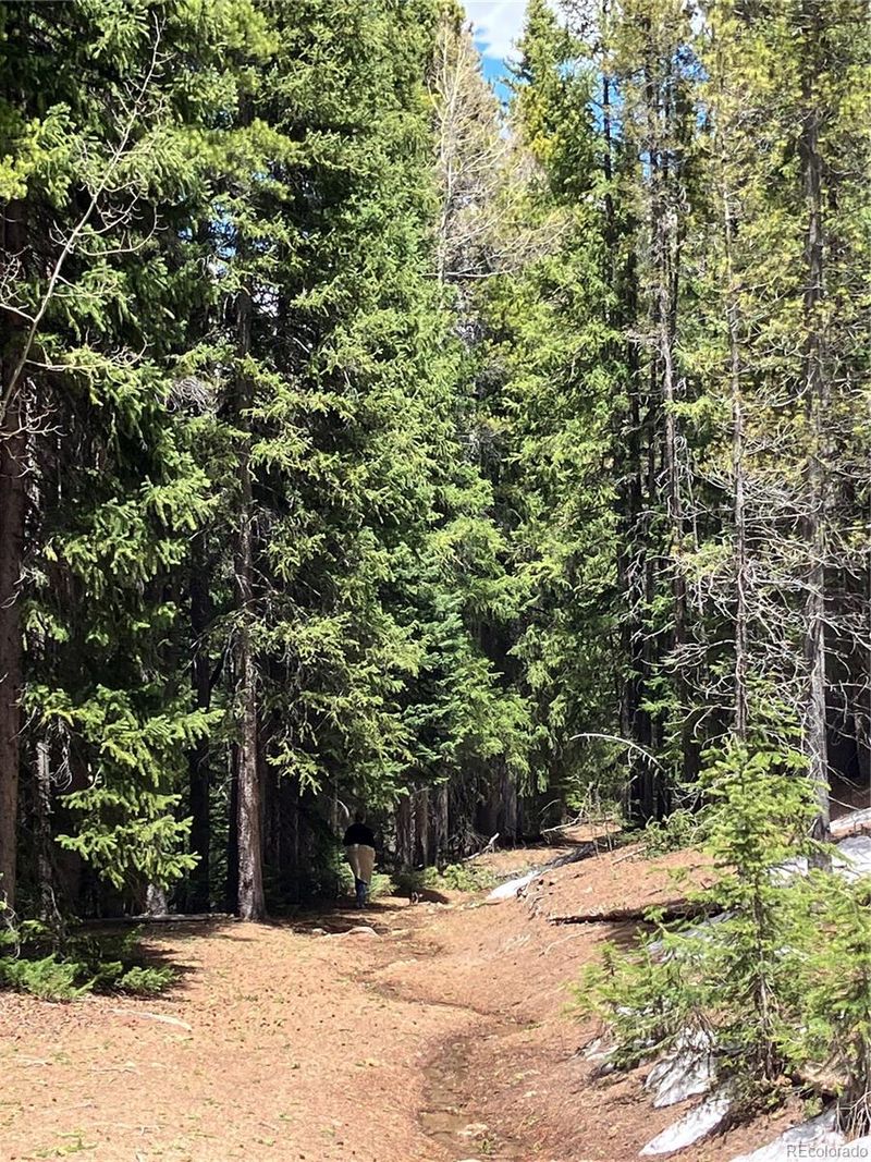 Fs 409 1 Rd #aka Fairburn Mtn, Black Hawk, CO 80422