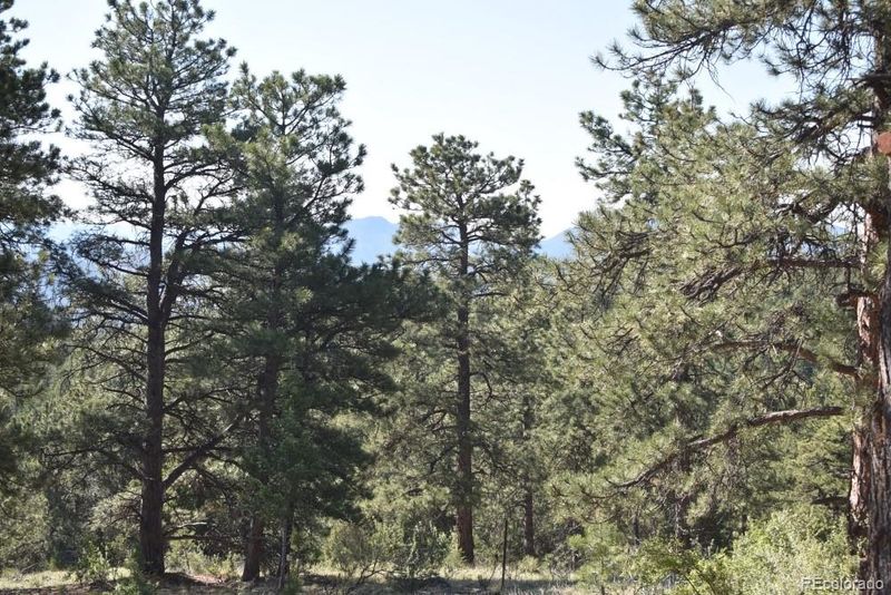 34053 Eagle Ln, Pine, CO 80470