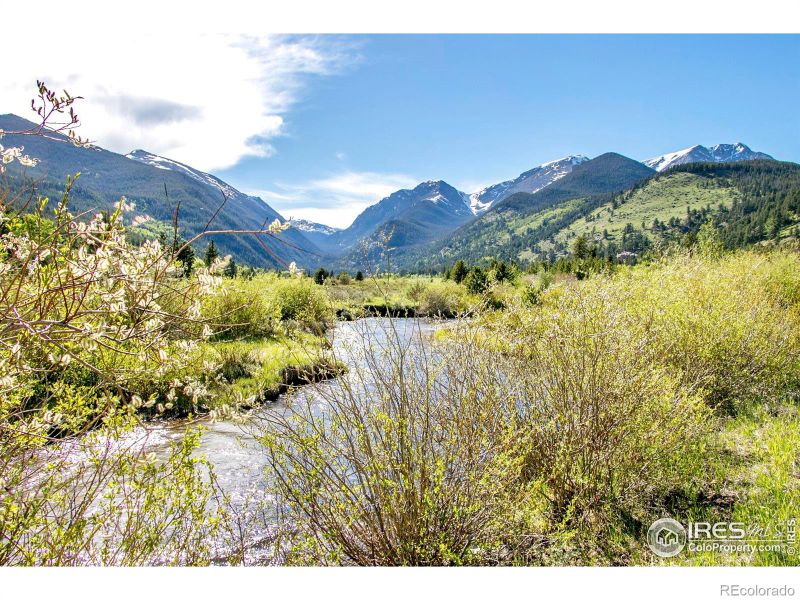 1703 Continental Peaks Cir, Estes Park, CO 80517
