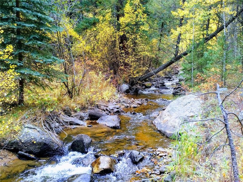 1357 Hi Meadow Dr Lot 17, Bailey, CO 80421