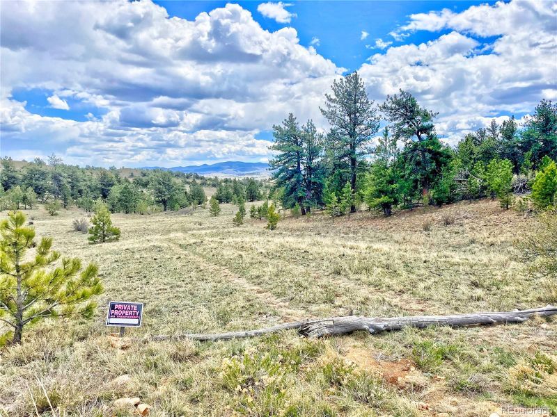 861 Hiawatha Cir, Hartsel, CO 80449