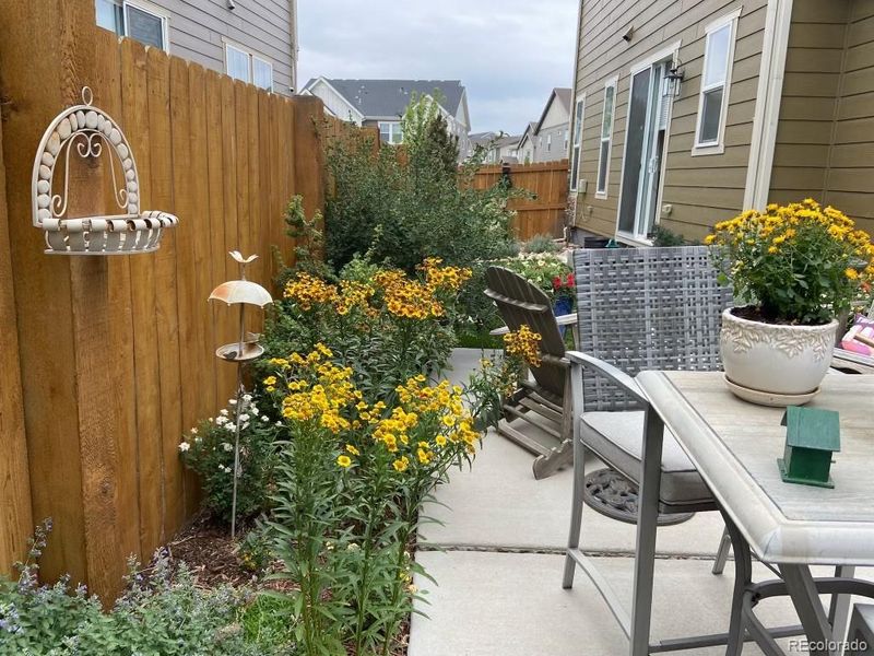 2359 W 165th Ln, Broomfield, CO 80023