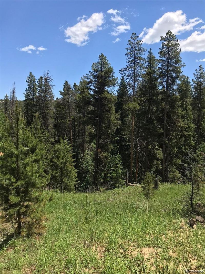 000 Talus Cir, Black Hawk, CO 80422