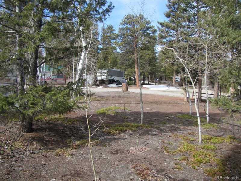 84 Tie Way, Hartsel, CO 80449