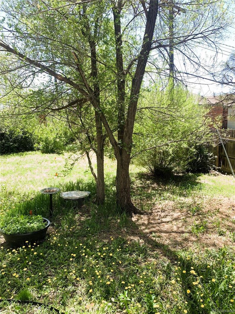 4013 Goldenrod Dr, Colorado Springs, CO 80918