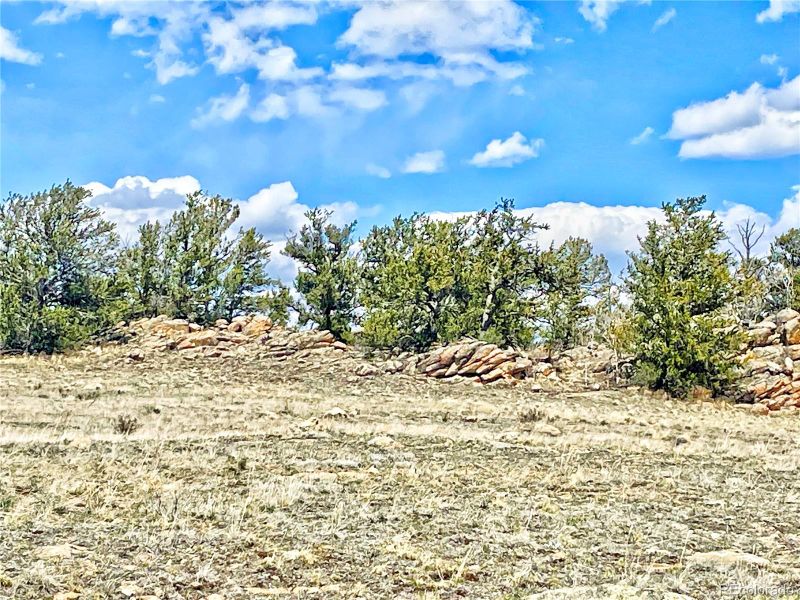 250 Buckhorn Rd, Como, CO 80432