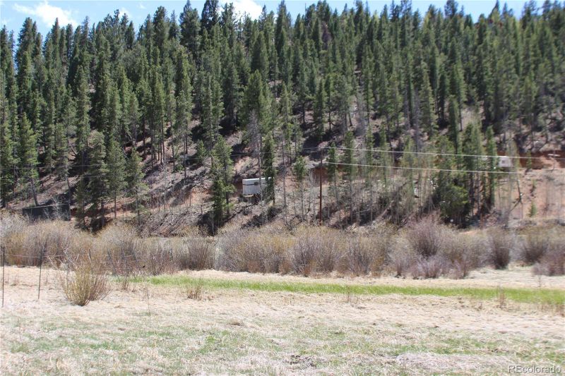 227 Moore St, Bailey, CO 80421
