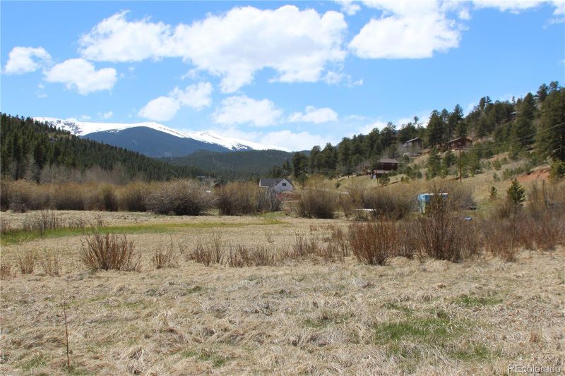 227 Moore St, Bailey, CO 80421