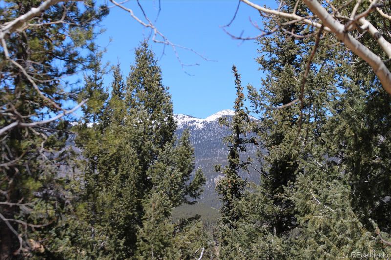 219 Wise Rd, Bailey, CO 80421