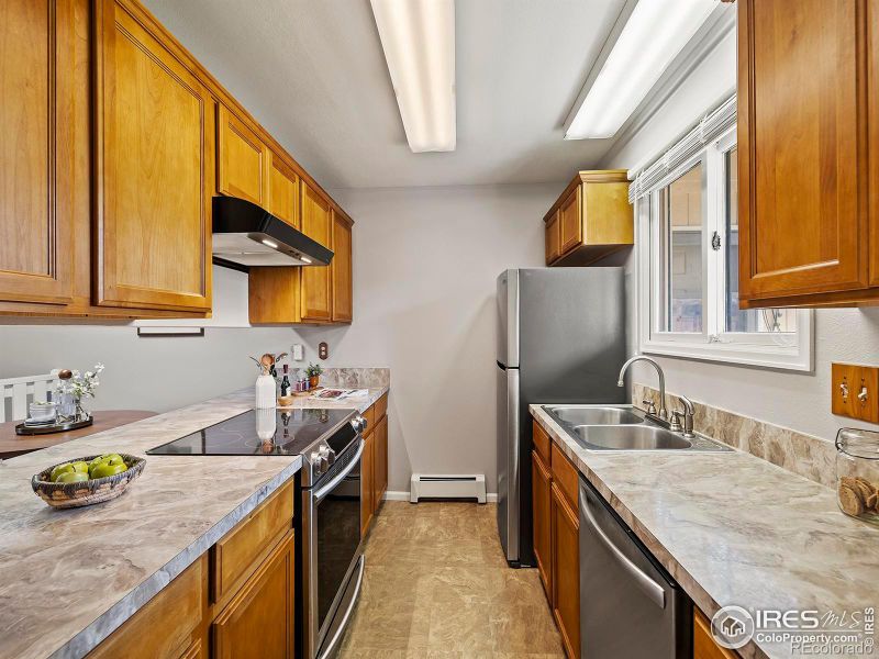 919 Conifer Ct #9, Windsor, CO 80550