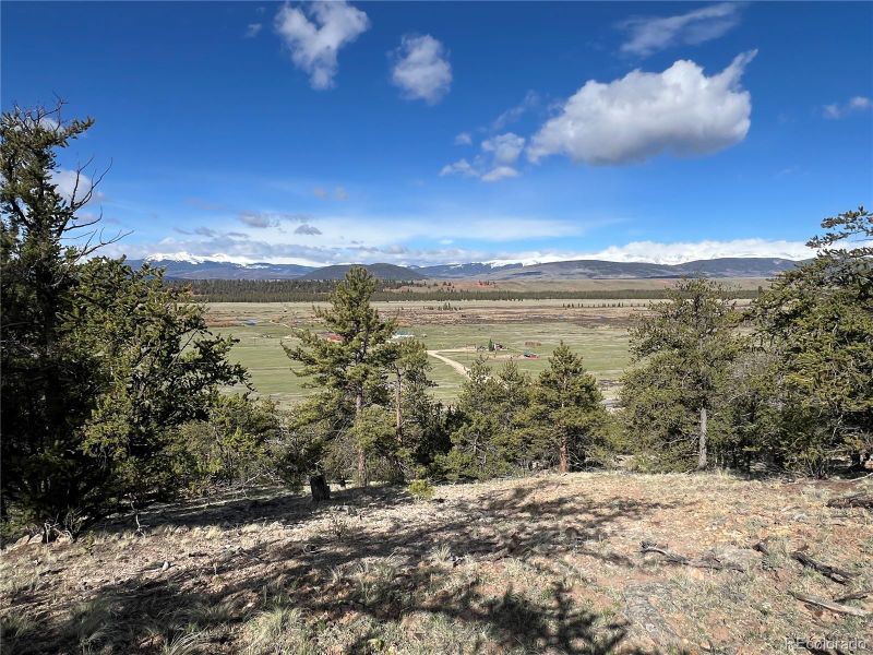 913 Bonell Dr Lot 415, Fairplay, CO 80440