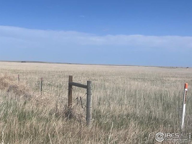 0 County Road 33, Nunn, CO 80648