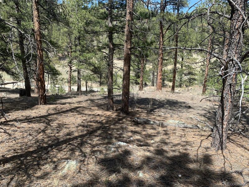 34754 Highway 24, Lake George, CO 80827