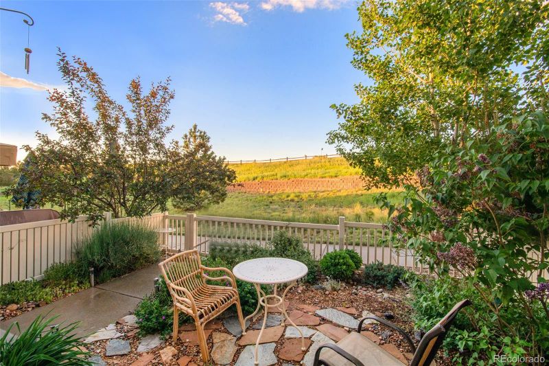 3822 Tranquility Trl, Castle Rock, CO 80109