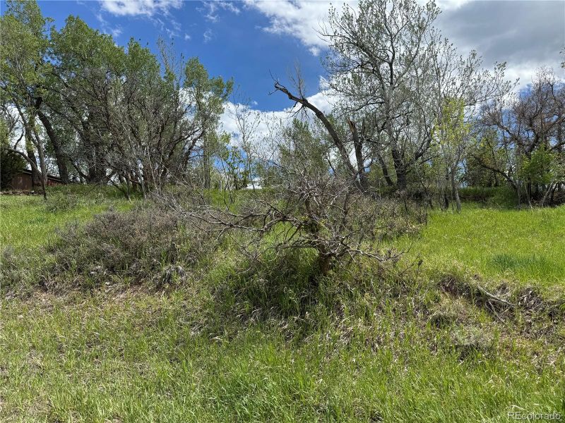Ryus, La Veta, CO 81055