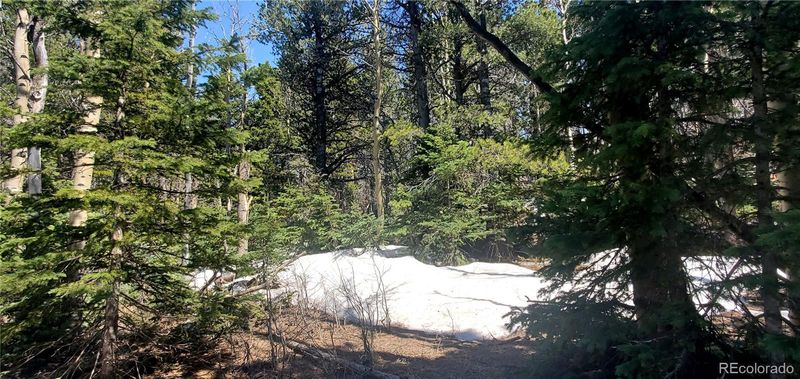 2751 Grojean Dr Lot 2751, Fort Garland, CO 81133