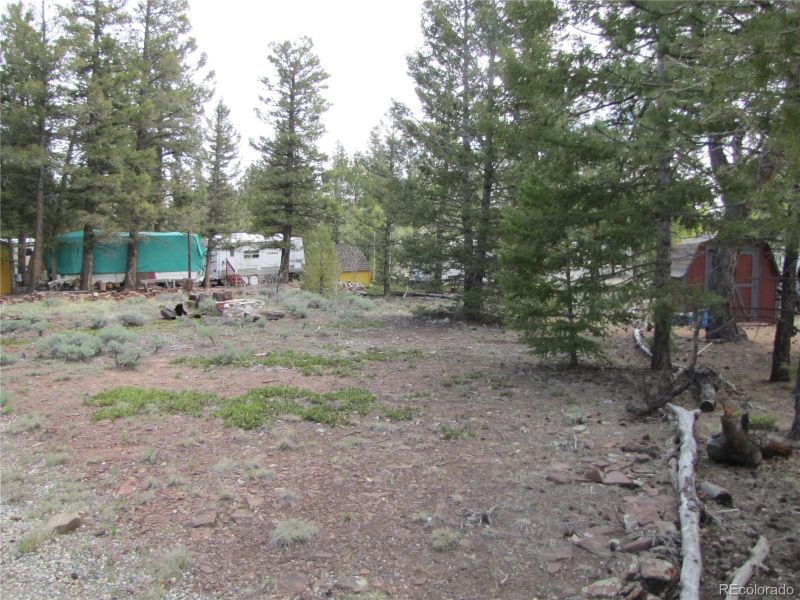 55 Rail Way, Hartsel, CO 80449