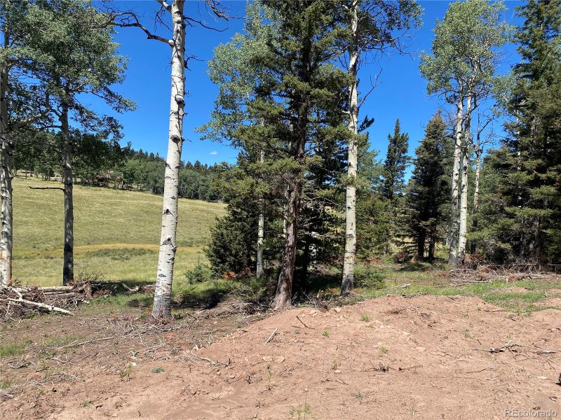 2841 Wendt Ln Lot 2841, Fort Garland, CO 81133