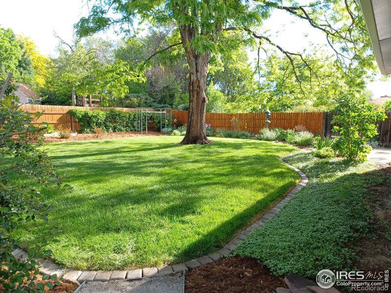 1065 S Coffman St, Longmont, CO 80501