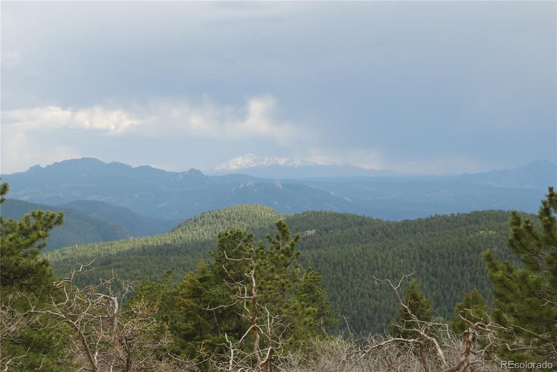 13927 Dancing Bear Trl, Littleton, CO 80127