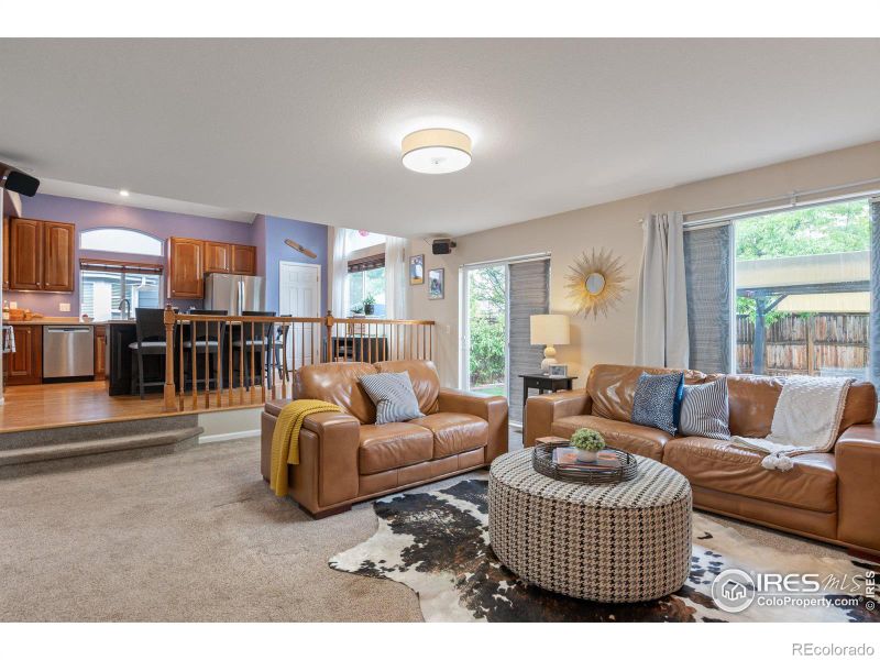 16550 High Desert Way, Parker, CO 80134