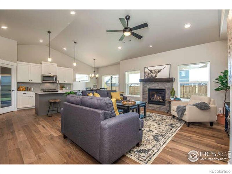 3302 Buffalo Grass Ln, Wellington, CO 80549